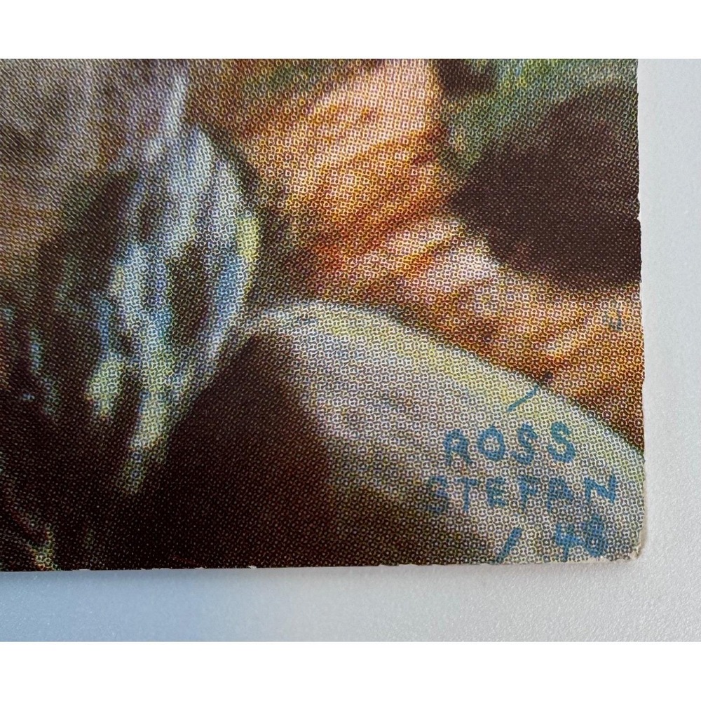 Lot 3 Ross Stefan 1948 Uncirculated Postcards A New Experience Good Scout Attack - Picture 5 of 15